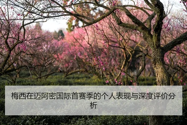 梅西在迈阿密国际首赛季的个人表现与深度评价分析
